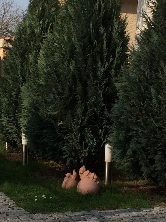Penzion Speller Vysoký Újezd Exteriör bild